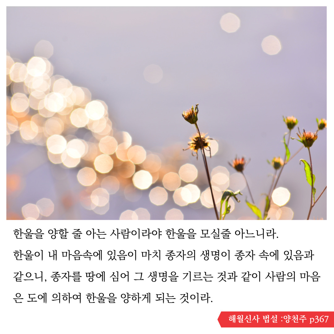bd358b816430ccb015c57a33efa6064e_1690440025_8533.jpg