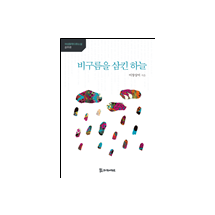 비구름을 삼킨 하늘 11,000원