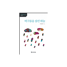 비구름을 삼킨 하늘 11,000원